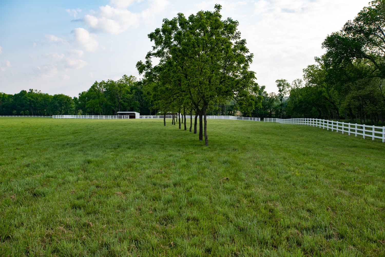 Pasture at Hidden Timber Farm horse pasture boarding
